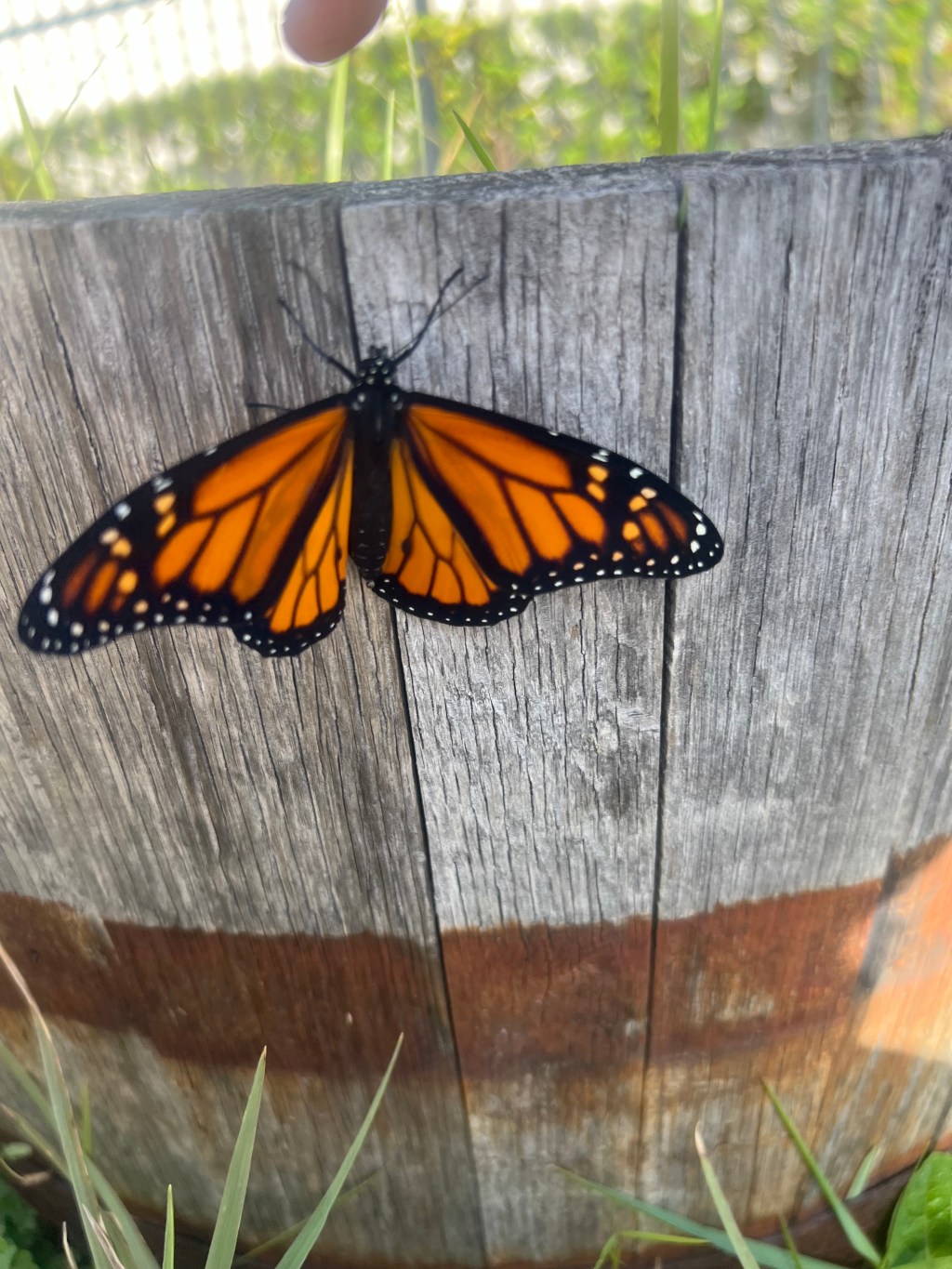 Are you searching for an experience or are you seeking the&nbsp;Lord?