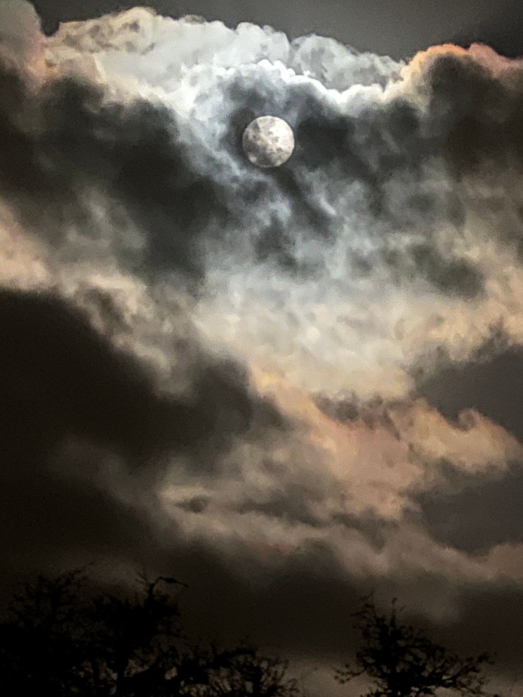 Dysregulated Nervous System…